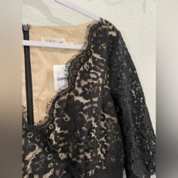 New Eliza J Lace Black Dress Mod Feminine Fit And Flare Pockets Whimsigoth - Picture 3 of 8